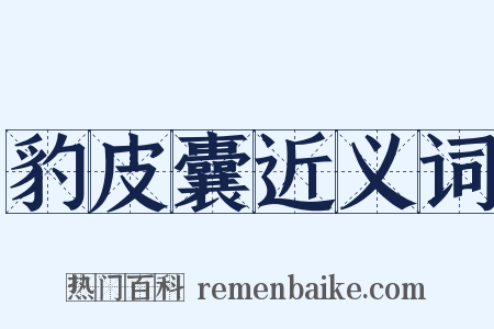 豹皮囊近义词是什么意思的图片